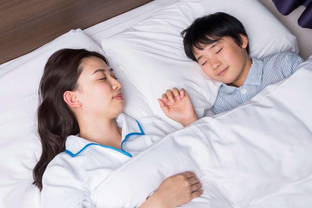 Comfort Hikone